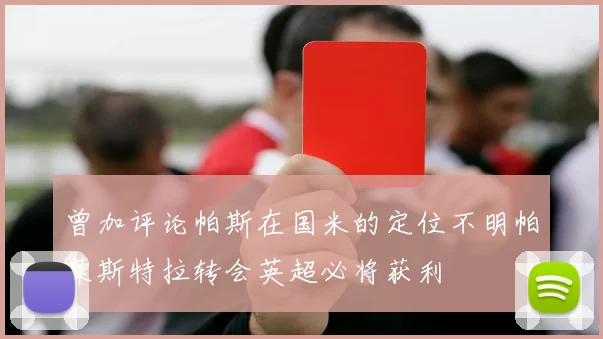 曾加评论帕斯在国米的定位不明帕莱斯特拉转会英超必将获利
