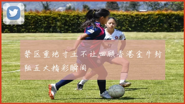 禁区重地寸土不让回顾香港金牛封阻五大精彩瞬间