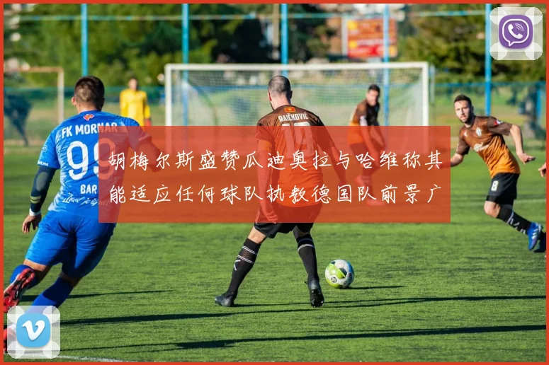 胡梅尔斯盛赞瓜迪奥拉与哈维称其能适应任何球队执教德国队前景广阔